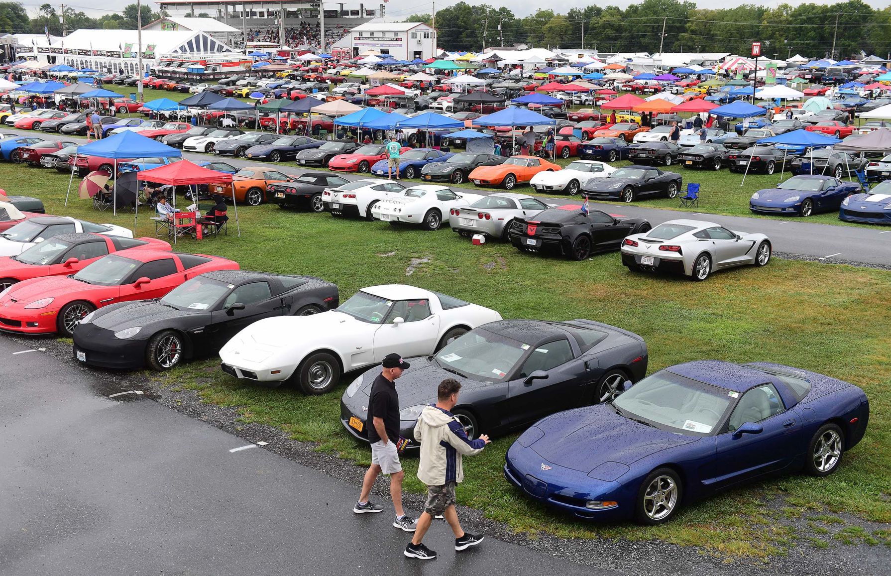 Corvettes at Carlisle 19